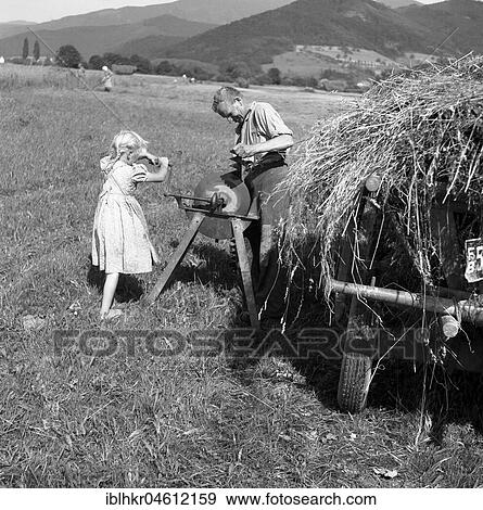 Man standing at the grindstone and girl cranked, surrounding of Freiburg ca. 1945 to 1955 View Large Photo Image Stock Photo - Man standing at the grindstone and girl cranked, surrounding of Freiburg ca. 1945 to 1955. Fotosearch