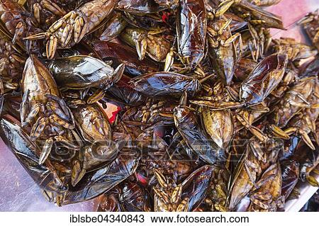 Stock Image - Mangda, fried water bugs (Lethocerus indicus) on a market, edible insects, Thai cuisine, specialty, Thailand, Asia. Fotosearch