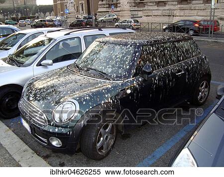Stock Photography - Mini dirtied by birds, ca. 2005 Surroundings of Leipzig, Germany, Europe. Fotosearch