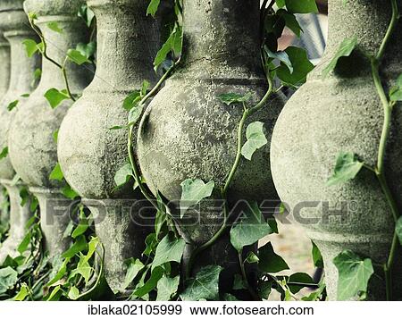 Stock Photo - Old ivy-covered stone balustrade in a garden, Bad Karlshafen, Hesse, Germany, Europe. Fotosearch