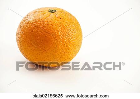 Orange (Citrus × aurantium) View Large Photo Image Stock Photography - Orange (Citrus × aurantium). Fotosearch