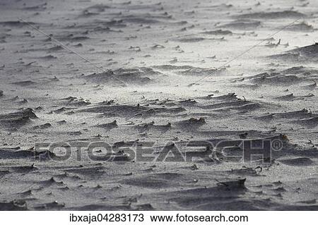 Ostseestrand in Zingst, Mecklenburg-Vorpommern, Deutschland, Europa View Large Photo Image Stock Image - Ostseestrand in Zingst, Mecklenburg-Vorpommern, Deutschland, Europa. Fotosearch