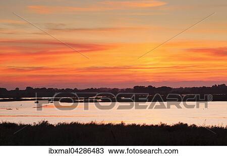 Petite Camargue bei Sonnenuntergang, Department Gard, Languedoc-Roussillon, Frankreich, Europa View Large Photo Image Stock Image - Petite Camargue bei Sonnenuntergang, Department Gard, Languedoc-Roussillon, Frankreich, Europa. Fotosearch
