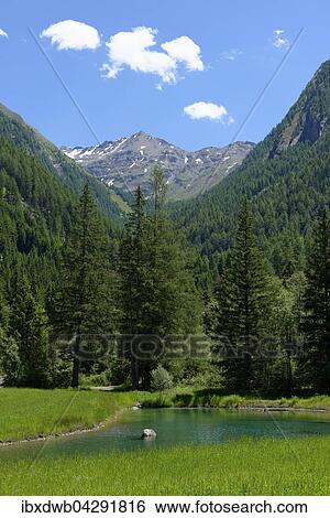 Quellwasser bei Burgum, mit Wilder Kreuzspitze, Innerpfitschtal, Pfitschtal bei Sterzing, Eisacktal, Sudtirol, Alto Adige, Italien, Europa View Large Photo Image Stock Photograph - Quellwasser bei Burgum, mit Wilder Kreuzspitze, Innerpfitschtal, Pfitschtal bei Sterzing, Eisacktal, Sudtirol, Alto Adige, Italien, Europa. Fotosearch