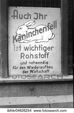 Picture - Rabbit fur as raw material, ca. 1955, Leipzig, Germany, Europe. Fotosearch