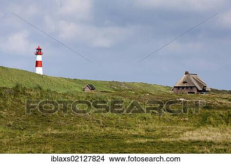 Picture - Red and white striped lighthouse of List Ost with a frisian house on the Sylt peninsula of Ellenbogen, List, Sylt, North Frisia, Schleswig-Holstein, Germany, Europe. Fotosearch