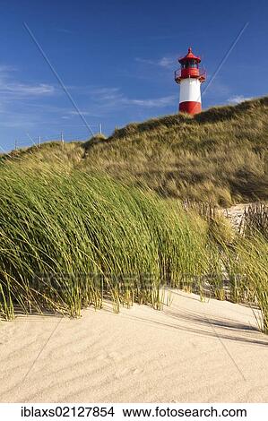 Picture - Red and white striped lighthouse of List Ost on the Sylt peninsula of Ellenbogen, viewed from the beach, List, Sylt, North Frisia, Schleswig-Holstein, Germany, Europe, PublicGround, Europe. Fotosearch