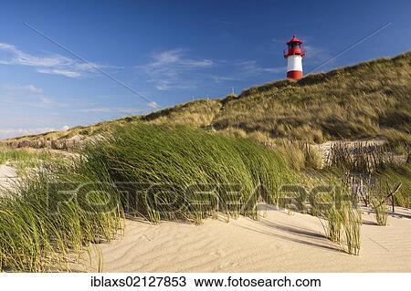 Stock Image - Red and white striped lighthouse of List Ost on the Sylt peninsula of Ellenbogen, viewed from the beach, List, Sylt, North Frisia, Schleswig-Holstein, Germany, Europe, PublicGround, Europe. Fotosearch