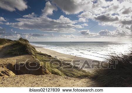 Stock Photo - Red Cliff near Kampen, facing the sea and the beach, Sylt, North Frisia, Schleswig-Holstein, Germany, Europe. Fotosearch