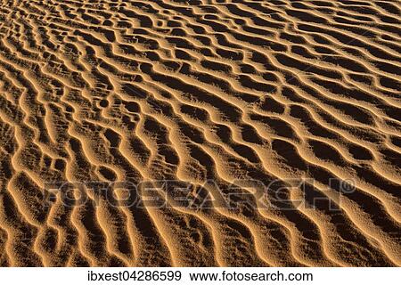 Rippel, Stuktur einer Sanddune, Sahara, Algerien, Afrika View Large Photo Image Stock Photo - Rippel, Stuktur einer Sanddune, Sahara, Algerien, Afrika. Fotosearch