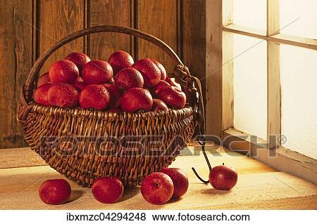 Rote Aepfel, Sorte Winterrambur (Malus domestica), in einem Weidenkorb vor einem Fenster View Large Photo Image Stock Photo - Rote Aepfel, Sorte Winterrambur (Malus domestica), in einem Weidenkorb vor einem Fenster. Fotosearch