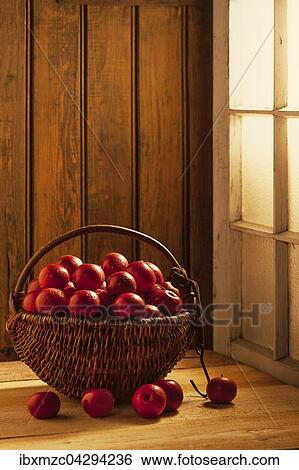 Rote Aepfel, Sorte Winterrambur (Malus domestica), in einem Weidenkorb vor einem Fenster View Large Photo Image Stock Photograph - Rote Aepfel, Sorte Winterrambur (Malus domestica), in einem Weidenkorb vor einem Fenster. Fotosearch