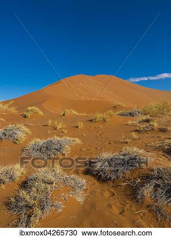 Sanddune, Namib-Wuste, Region Hardap, Namibia, Afrika View Large Photo Image Stock Image - Sanddune, Namib-Wuste, Region Hardap, Namibia, Afrika. Fotosearch
