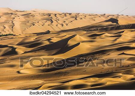 Sanddunen in der Wuste bei Al Hamaim, Leeres Viertel, Empty Quarter, Sandwuste Rub al-Chali, auch Rub al-Khali, Vereinigte Arabische Emirate, Asien View Large Photo Image Stock Image - Sanddunen in der Wuste bei Al Hamaim, Leeres Viertel, Empty Quarter, Sandwuste Rub al-Chali, auch Rub al-Khali, Vereinigte Arabische Emirate, Asien. Fotosearch