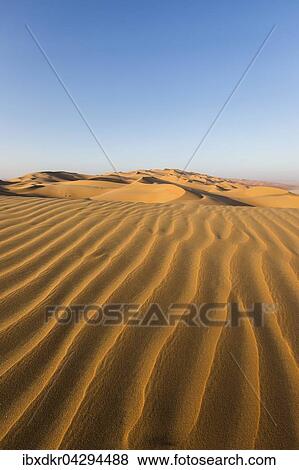 Sanddunen, Leeres Viertel, Empty Quarter, Sandwuste Rub al-Chali, auch Rub al-Khali, Vereinigte Arabische Emirate, Asien View Large Photo Image Stock Photo - Sanddunen, Leeres Viertel, Empty Quarter, Sandwuste Rub al-Chali, auch Rub al-Khali, Vereinigte Arabische Emirate, Asien. Fotosearch