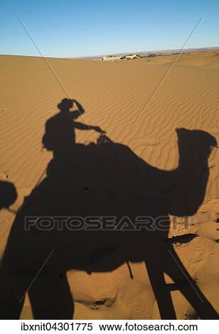 Schatten von Reiter auf Dromedar im Sand, Dunen, Sahara, bei Erg Chebbi, Meknes-Tafilalet, Marokko, Afrika View Large Photo Image Stock Photography - Schatten von Reiter auf Dromedar im Sand, Dunen, Sahara, bei Erg Chebbi, Meknes-Tafilalet, Marokko, Afrika. Fotosearch