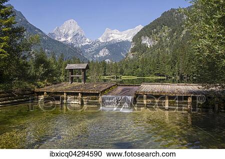 Schiederweiher, vor den Bergen Spitzmauer und Grosser Priel, Hinterstoder, Totes Gebirge, Oberosterreich, Osterreich, Europa View Large Photo Image Stock Image - Schiederweiher, vor den Bergen Spitzmauer und Grosser Priel, Hinterstoder, Totes Gebirge, Oberosterreich, Osterreich, Europa. Fotosearch