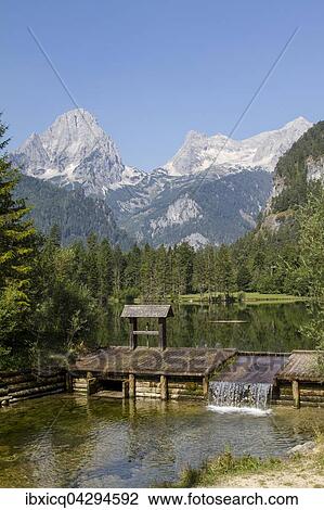 Schiederweiher, vor den Bergen Spitzmauer und Grosser Priel, Hinterstoder, Totes Gebirge, Oberosterreich, Osterreich, Europa View Large Photo Image Stock Image - Schiederweiher, vor den Bergen Spitzmauer und Grosser Priel, Hinterstoder, Totes Gebirge, Oberosterreich, Osterreich, Europa. Fotosearch