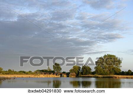 Schilfgurtel mit Bootshausern an der grossen Wunnow, bei Robel an der Muritz, Mecklenburgische Seenplatte, Mecklenburg-Vorpommern, Deutschland, Europa View Large Photo Image Stock Image - Schilfgurtel mit Bootshausern an der grossen Wunnow, bei Robel an der Muritz, Mecklenburgische Seenplatte, Mecklenburg-Vorpommern, Deutschland, Europa. Fotosearch