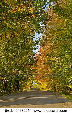 Schotterstrasse, Herbstfarben, Eastern Townships, Foster, Quebec, Kanada, Nordamerika View Large Photo Image Picture - Schotterstrasse, Herbstfarben, Eastern Townships, Foster, Quebec, Kanada, Nordamerika. Fotosearch