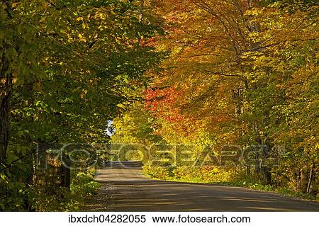 Stock Photography - Schotterstrasse, Herbstfarben, Eastern Townships, Foster, Quebec, Kanada, Nordamerika. Fotosearch