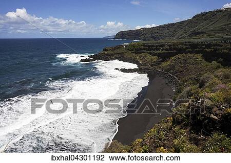 Schwarzer Lavastrand, Playa Bollullo, bei Puerto de la Cruz, Teneriffa, Kanarische Inseln, Spanien, Europa View Large Photo Image Stock Image - Schwarzer Lavastrand, Playa Bollullo, bei Puerto de la Cruz, Teneriffa, Kanarische Inseln, Spanien, Europa. Fotosearch