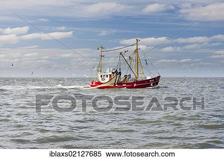 Stock Photography - Shrimp boat with seagulls off the North Sea coast with wind turbines, Buesum, Schleswig-Holstein, Germany, Europe. Fotosearch