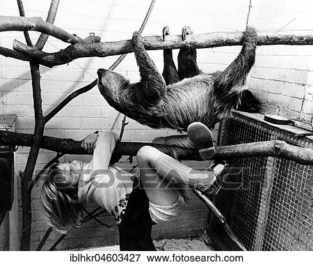 Sloth and girls climbing, England, Great Britain View Large Photo Image Stock Photo - Sloth and girls climbing, England, Great Britain. Fotosearch