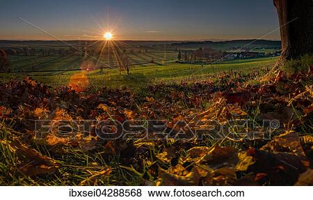 Sonnenaufgang uber Mindeltal, vorne Herbstlaub, Mindelheim, Schwaben, Bayern, Deutschland, Europa View Large Photo Image Stock Photo - Sonnenaufgang uber Mindeltal, vorne Herbstlaub, Mindelheim, Schwaben, Bayern, Deutschland, Europa. Fotosearch