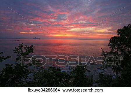 Picture - Sonnenuntergang uber dem Sudchinesischen Meer, Kuste am Permai Rainforest, Sarawak, Borneo, Malaysia, Asien. Fotosearch