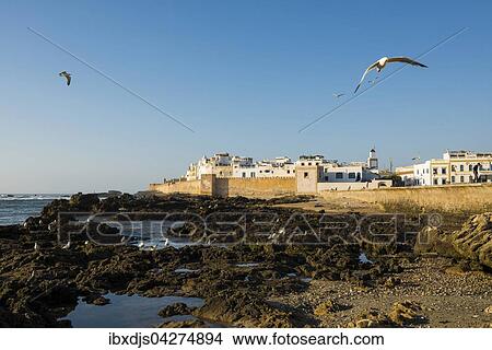 Picture - Stadtansicht, UNESCO Weltkulturerbe, Essaouira, Marokko, Afrika. Fotosearch