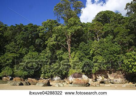 Stock Image - Strand mit Felsen und Regenwald an der Kuste, Permai Rainforest, bei Santubong, Sarawak, Borneo, Malaysia, Asien. Fotosearch