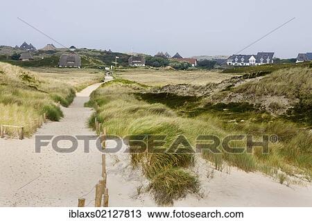 Stock Image - Thatched cottages among the sand dunes of Hoernum, Sylt, North Frisia, Schleswig-Holstein, Germany, Europe. Fotosearch