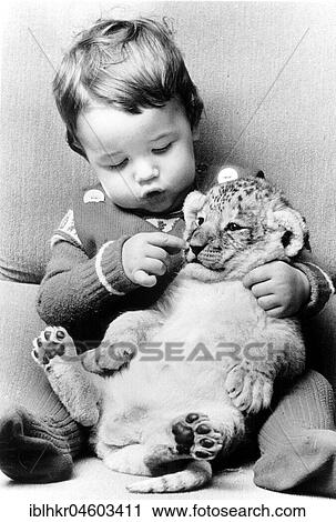 Toddler cuddles with baby lion, England, Great Britain View Large Photo Image Stock Image - Toddler cuddles with baby lion, England, Great Britain. Fotosearch