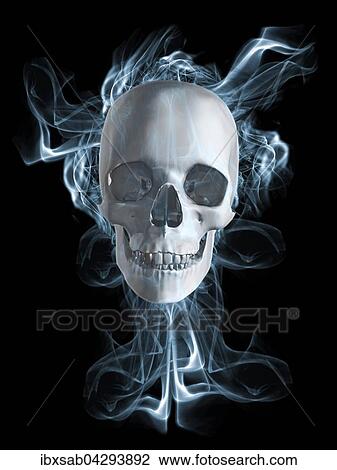 Totenkopf, menschlicher Schadel umgeben von Rauch View Large Photo Image Stock Image - Totenkopf, menschlicher Schadel umgeben von Rauch. Fotosearch