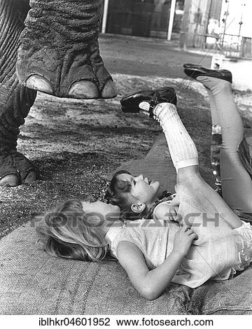 Two girls playing with an elephant, England, Great Britain View Large Photo Image Stock Image - Two girls playing with an elephant, England, Great Britain. Fotosearch