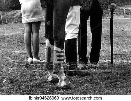 Two horse legs and six human legs ca. 1970s, exact place unknown, Czech Republic, Europe View Large Photo Image Stock Photo - Two horse legs and six human legs ca. 1970s, exact place unknown, Czech Republic, Europe. Fotosearch