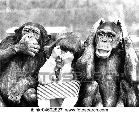Two monkeys with child, see nothing, hear nothing, say nothing, England, Great Britain View Large Photo Image Stock Photo - Two monkeys with child, see nothing, hear nothing, say nothing, England, Great Britain. Fotosearch