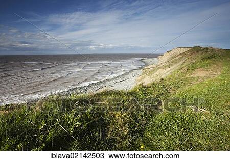 Stock Image - View east towards Kilve Beach, from the cliffs heading towards Quantoxhead on the Somerset coast, Somerset, England, United Kingdom, Europe. Fotosearch