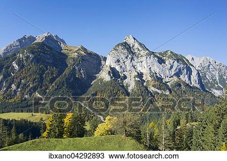 Von der Hasentalalm auf Gamsjoch und Rosskopfspitze, Hinterriss, Tirol, Osterreich, Europa View Large Photo Image Stock Image - Von der Hasentalalm auf Gamsjoch und Rosskopfspitze, Hinterriss, Tirol, Osterreich, Europa. Fotosearch