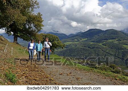 Wanderer am Keschtnweg bei Feldthurns, Eisacktal, Sudtirol, Alto Adige, Italien, Europa View Large Photo Image Stock Image - Wanderer am Keschtnweg bei Feldthurns, Eisacktal, Sudtirol, Alto Adige, Italien, Europa. Fotosearch