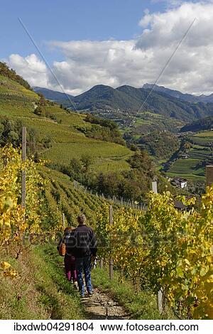 Wanderer am Keschtnweg bei Pardell, Eisacktal, Sudtirol, Alto Adige, Italien, Europa View Large Photo Image Picture - Wanderer am Keschtnweg bei Pardell, Eisacktal, Sudtirol, Alto Adige, Italien, Europa. Fotosearch