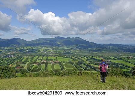 Wanderin auf der Sonntraten, Isarwinkel bei Bad Tolz, mit Zwiesel und Blomberg, Gaissach, Isartal, Oberbayern, Bayern, Deutschland, Europa View Large Photo Image Stock Photo - Wanderin auf der Sonntraten, Isarwinkel bei Bad Tolz, mit Zwiesel und Blomberg, Gaissach, Isartal, Oberbayern, Bayern, Deutschland, Europa. Fotosearch