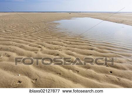 Stock Photo - Wavy sea floor near Hoernum on Sylt, North Frisia, Schleswig-Holstein, Germany, Europe, PublicGround, Europe. Fotosearch