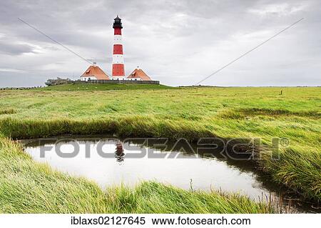 Stock Photography - Westerheversand Lighthouse amid the salt marshes with its reflection in a tidal creek, North Frisia, Schleswig-Holstein, Germany, Europe. Fotosearch