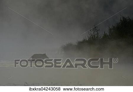 Wildschwein (Sus scrofa) im Nebel, steht im Wasser, Schonau an der Donau, Niederosterreich, Osterreich, Europa View Large Photo Image Stock Photo - Wildschwein (Sus scrofa) im Nebel, steht im Wasser, Schonau an der Donau, Niederosterreich, Osterreich, Europa. Fotosearch