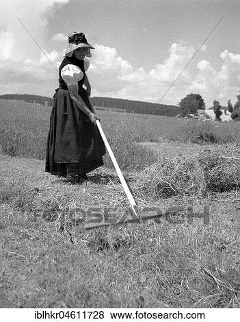 Stock Photo - Woman turning back mown grass, around 1950, near Freiburg, Germany, Europe. Fotosearch