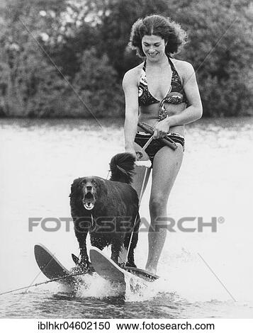Woman with dog rides water ski, England, Great Britain View Large Photo Image Stock Image - Woman with dog rides water ski, England, Great Britain. Fotosearch