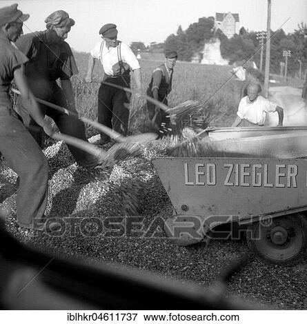Workers shovel pebbles into a wagon, road construction around 1950, Freiburg, Germany, Europe View Large Photo Image Stock Photo - Workers shovel pebbles into a wagon, road construction around 1950, Freiburg, Germany, Europe. Fotosearch