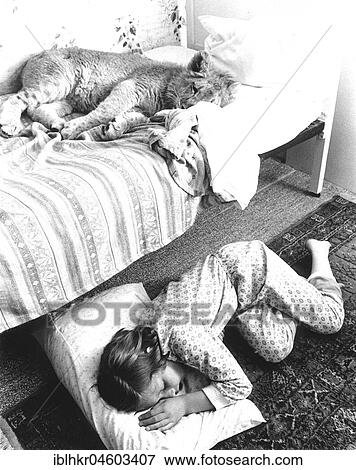 Young lion sleeps in crib, the girl on the floor, England, Great Britain View Large Photo Image Stock Photo - Young lion sleeps in crib, the girl on the floor, England, Great Britain. Fotosearch